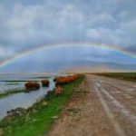 سفری به چهارگوشه ایران در آخرین روزهای تابستان/ ۱۰ مقصد جذاب برای ماجراجویی در تعطیلات آخر هفته