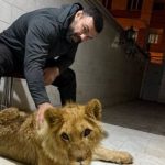 شکایت محیط زیست تهران از باغ‌ وحش ارم