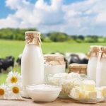شیر چاق‌ می‌کند یا لاغر؟