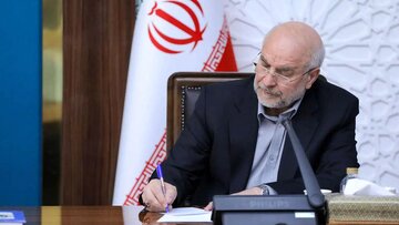 عکس| تاکید مهم رئیس مجلس روی حق پخش