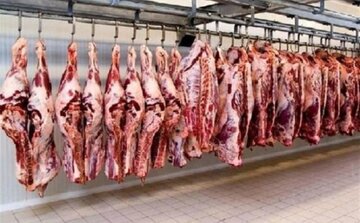واردات ۲۰۰ هزار تنی گوشت قرمز  برای تنظیم بازار/ قیمت گوشت ارزان می شود؟