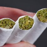 گل‌های داخل ایران ۱۰ برابر خطرناک‌تر از سایر کشورهاست