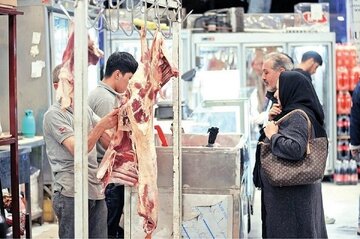 گوشت قرمز گران شد/ ناترازی انرژی به تولید دام و طیور رسید
