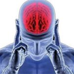 یک دستورالعمل ویژه برای سلامت مغز و تقویت تمرکز