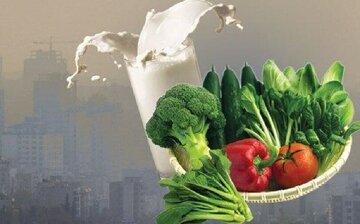 این خوراکی‌ها علیه آلودگی هوا به ریه کمک می‌کند