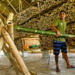 خانههایی که در زلزله «تاب میخورند» و جان مردم را نجات میدهند