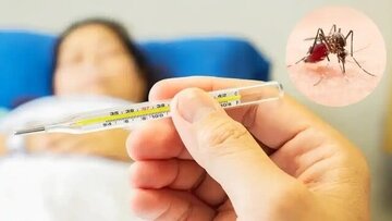 زنگ خطر شیوع تب دنگی در این منطقه به صدا در آمد