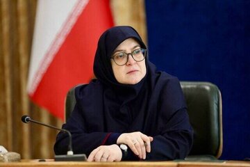 سخنگوی دولت: مجوز خرید دو فروند هواپیمای ایرباس تصویب شد/دارایی بانک آینده تکافوی بدهیها را نداشته باشد، سهامدارانش متقبل پرداخت میشوند