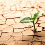 شدیدترین خشکسالی یک قرن اخیر در تهران/ سال آبی گذشته چقدر در پایتخت باران بارید؟