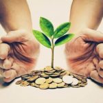 صندوق نوآفرین در مسیر احیا / مدیرعامل جدید معرفی شد