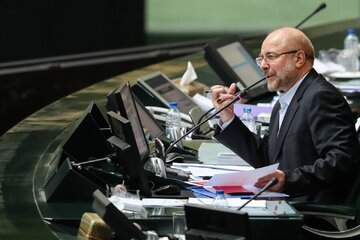 مرغ رییس مجلس یکپا ندارد؟ / وقتی بحران مرغ به جناح سیاسی دولت مستقر پیوند میخورد