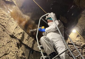 میکروب‌های ۴۰ هزار ساله از خواب یخی بیدار شدند!