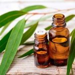 گیاهی مفید برای آبرسانی پوست و درد مفاصل