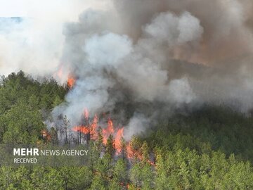 آتش‌سوزی گسترده در جنگل‌های شمال کشور/ اعزام سه هلیکوپتر اطفای حریق برای نخستین‌بار