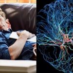 آیا تنبل‌ها باهوش‌ترند؟