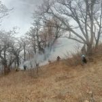 ادامه عملیات مهار آتش‌سوزی گسترده در جنگل‌های الیت چالوس