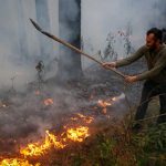 اعلام آخرین وضعیت جنگل‌های الیت پس از هشت روز آتش‌سوزی