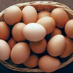 اعلام قیمت هر شانه تخم‌مرغ / کاشانی: بالاتر از این قیمت گران‌فروشی است