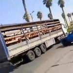 این مدیر مدرسه در جهرم از سمت خود برکنار شد/ ماجرا چیست؟