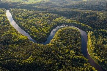 بزرگ‌ترین جنگل جهان کجاست؟