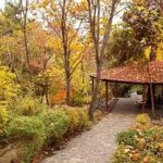 تماشای پاییز در پارک‌های تهران/ از لویزان تا پردیسان؛ معرفی ۵ بوستان جذاب برای تهرانگردی آخرهفته