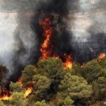 جنگل‌های درازنو درگیر آتش شد/ «درخواست بالگرد دادیم»