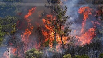 حریق سبزِ «الیت»؛ وقتی ریه‌های زمین خاکستر می‌شوند/ مرور آتش‌سوزی‌های شاخص جنگل‌های ایران در یک دهه اخیر