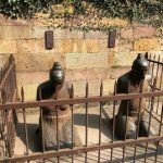 دو مجسمه منفور در چین که هر روز از هزاران نفر کتک می‌خورند