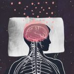 راز فعالیت شبانه مغز/ چرا مغز در خواب فعال‌تر از بیداری است؟