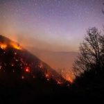 رسم شکم چرانی به شیوه قاجار، جنگلهای ایران را آتش زد/ مشتری های من همبرگری که روی چوب درختان جنگلی پخته شده باشد دوست دارند