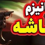 روسیه و چین تا کجا پای اجرا نشدن اسنپ بک ، همراه ایران می مانند؟