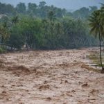 سیلی که جان ۱۴۵ انسان را گرفت/ عکس