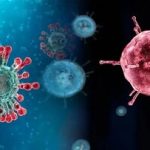 شیوع ویروس جدیددر اروپا؛ آماده‌باش صادر شد