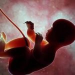 غربالگری در دوران بارداری ممنوع شد؟