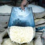 قیمت برنج رسما اعلام شد/ کنگری: بالاتر از این قیمت برنج نخرید