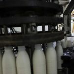 لبنیات ۳۰ درصد گران شد