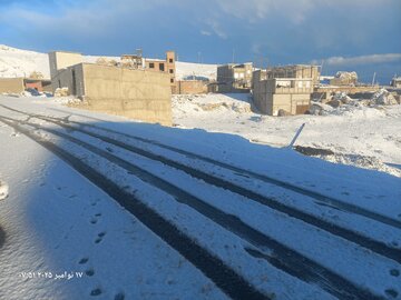 لیقوان سفید پوش شد/ عکس