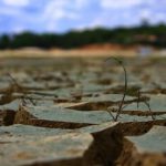 ما دچار خشکسالی عقل و خرد هستیم/ تنها راه حل، مدیریت جمعیت است/ تا ۲۰ سال آینده باید ۳۵ درصد جمعیت کنار دریای عمان مستقر شود