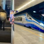 ماجرای گوسفندی که در قطار پوشک به تن داشت/ عکس