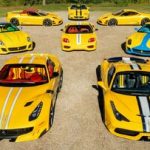 ماشین‌باز واقعی / مردی با ۴۸ فراری، مالک نادرترین مجموعه اسب‌های مارانلو / عکس