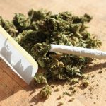 مخدر گل در ایران از کجا آمده؟/ حاوی قارچ و کپک است