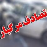 مرگ ۹ نفر در اثر برخورد خودروی شوتی با تریلی؛ جاسازی ۱۵ تبعه خارجی در یک خودرو
