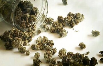 نشانه‌های ظاهری و روانی مصرف گل چیست؟