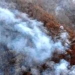 نماینده مجلس: هواپیمایی‌هایی که از ترکیه آورده‌اند توانستند تا حدی آتش را مهار کنند/ امروز باید این وضعیت تمام شود