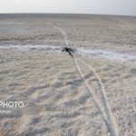 نیمی از تالاب شادگان خشک شده است