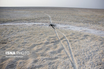 نیمی از تالاب شادگان خشک شده است