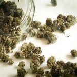 هشدار درباره مخدرهای جدید؛ «کِمیکال» و «بنزای» خطرناک‌تر از گل