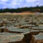 هشدار سنگین وزیر نیرو درباره بحران آبی/ هر چه مخزن بوده، تمام شده است