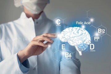 ویتامین‌ها و مکمل‌های تقویت مغز و حافظه/ این ویتامین جلوی کوچک‌شدن مغز را می‌گیرد/ با افزایش سن، مصرف این چربی را بیشتر کنید