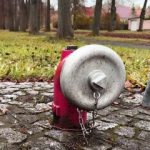 پایان تلخ یک بعدازظهر عاشقانه در آمریکا/ حادثه ای با احتمال یک در میلیون